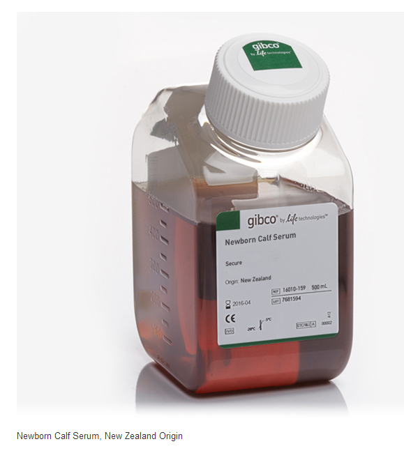 gibco新生牛血清 16010-159 500ml 现货